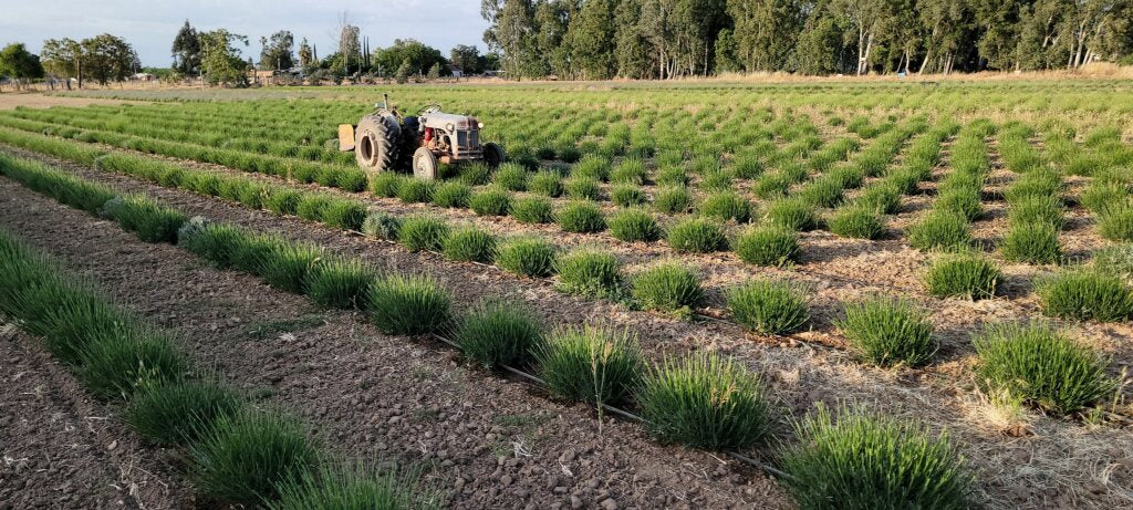 Visit the Farm 2025
