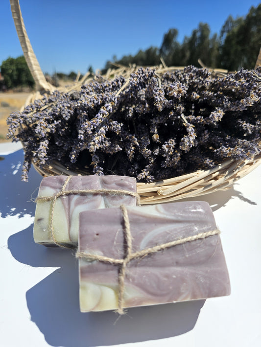 Lavender Shea Butter Handmade Soap Bar