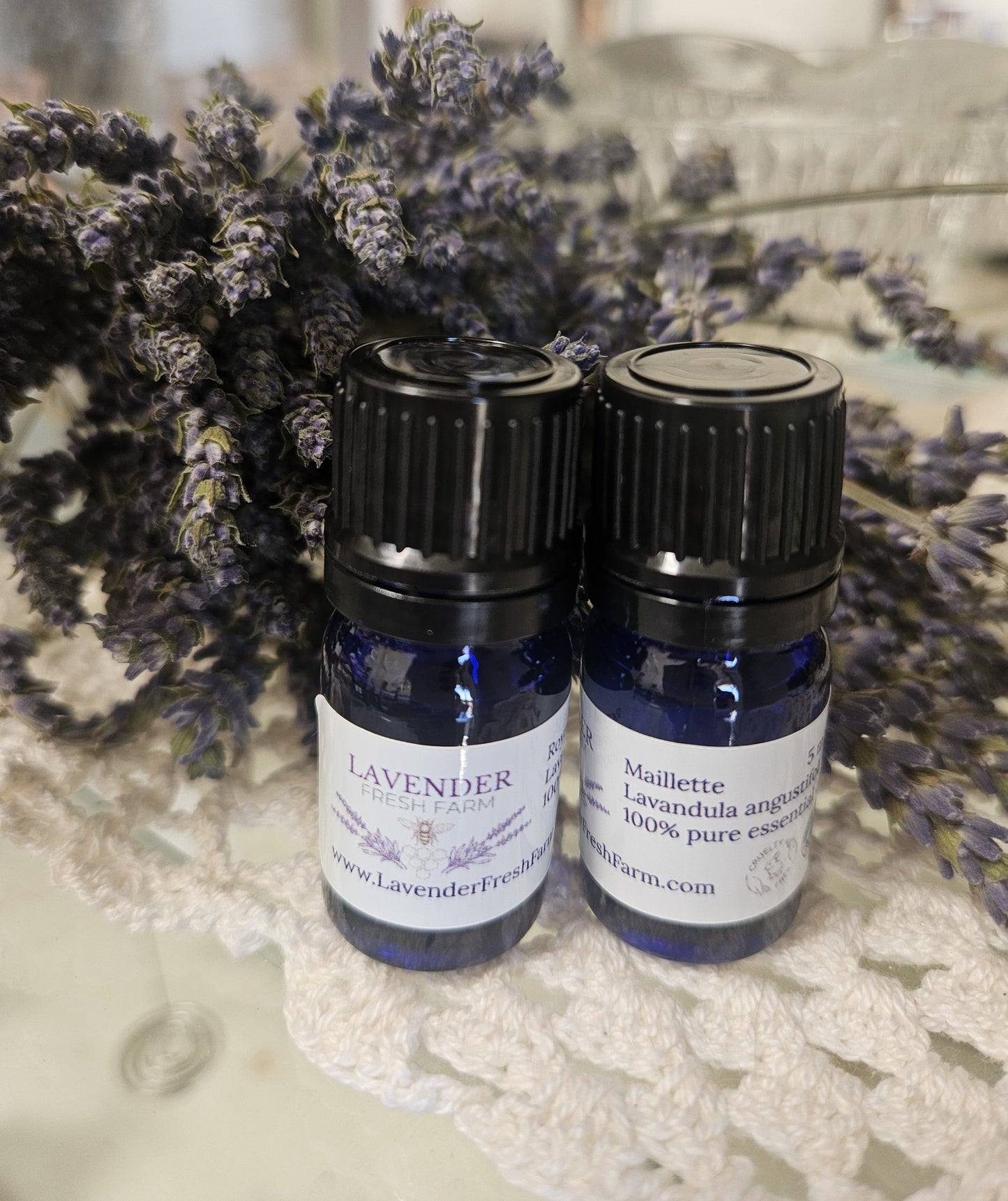 Essential Oil Angustifolia