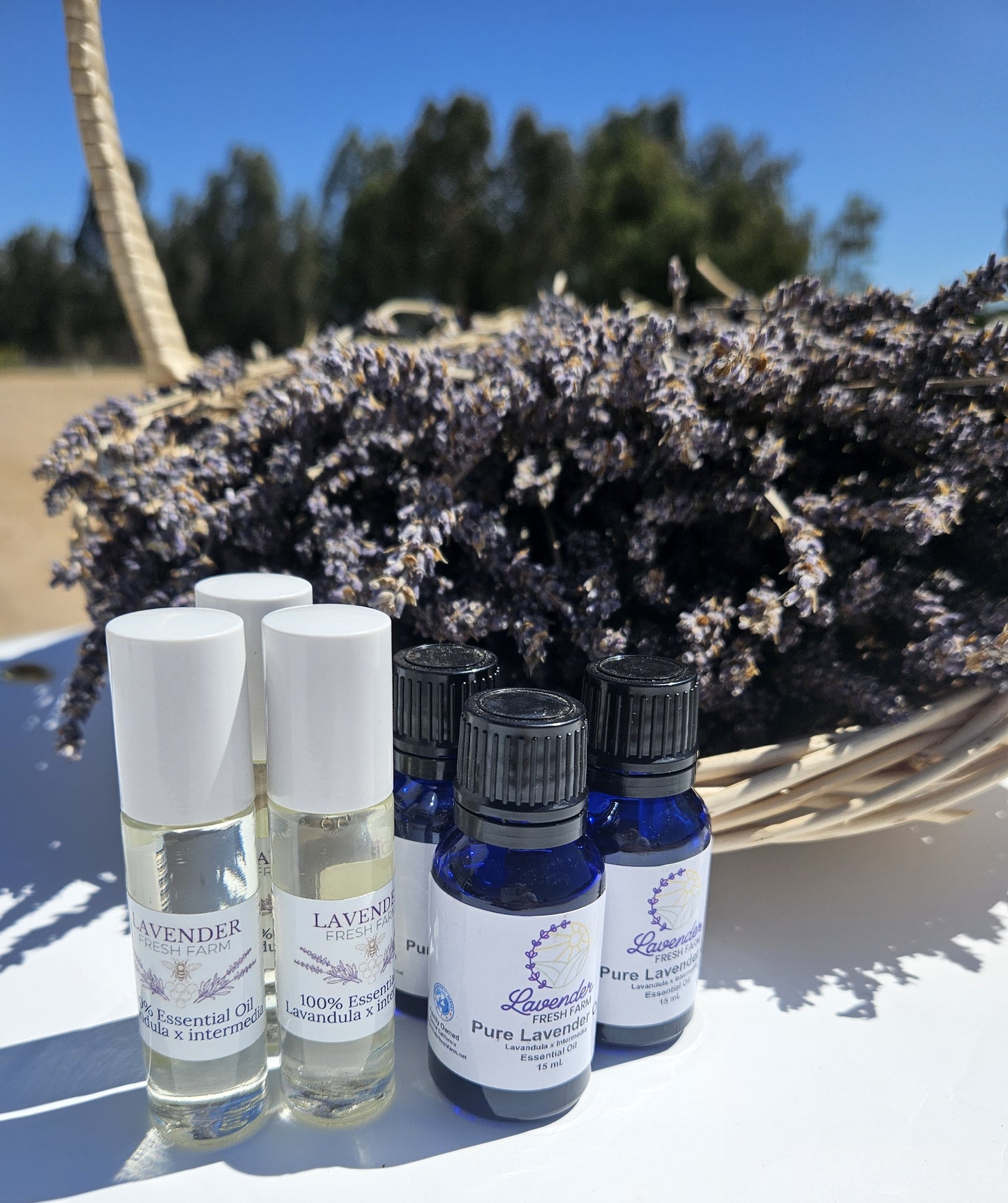 Essential Oil Lavandin Blend