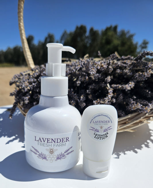 Lavender Hand & Body Lotion