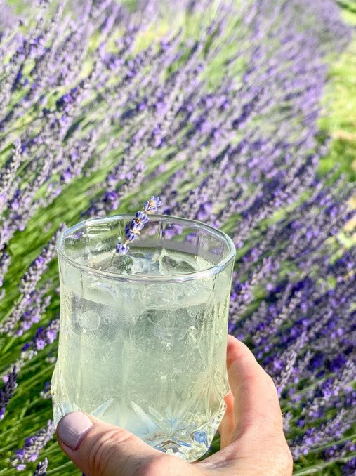 Lavender Lemonade