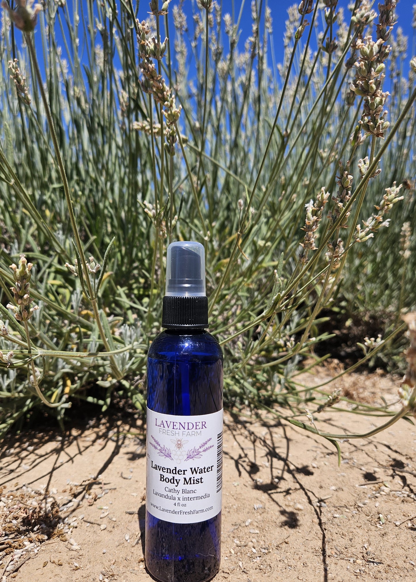 Lavender Water Body Mist