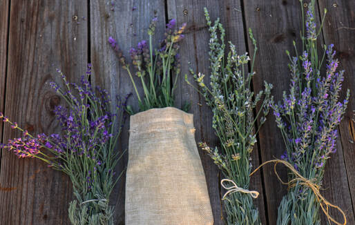 4 different species of lavender tied in lovely bundles