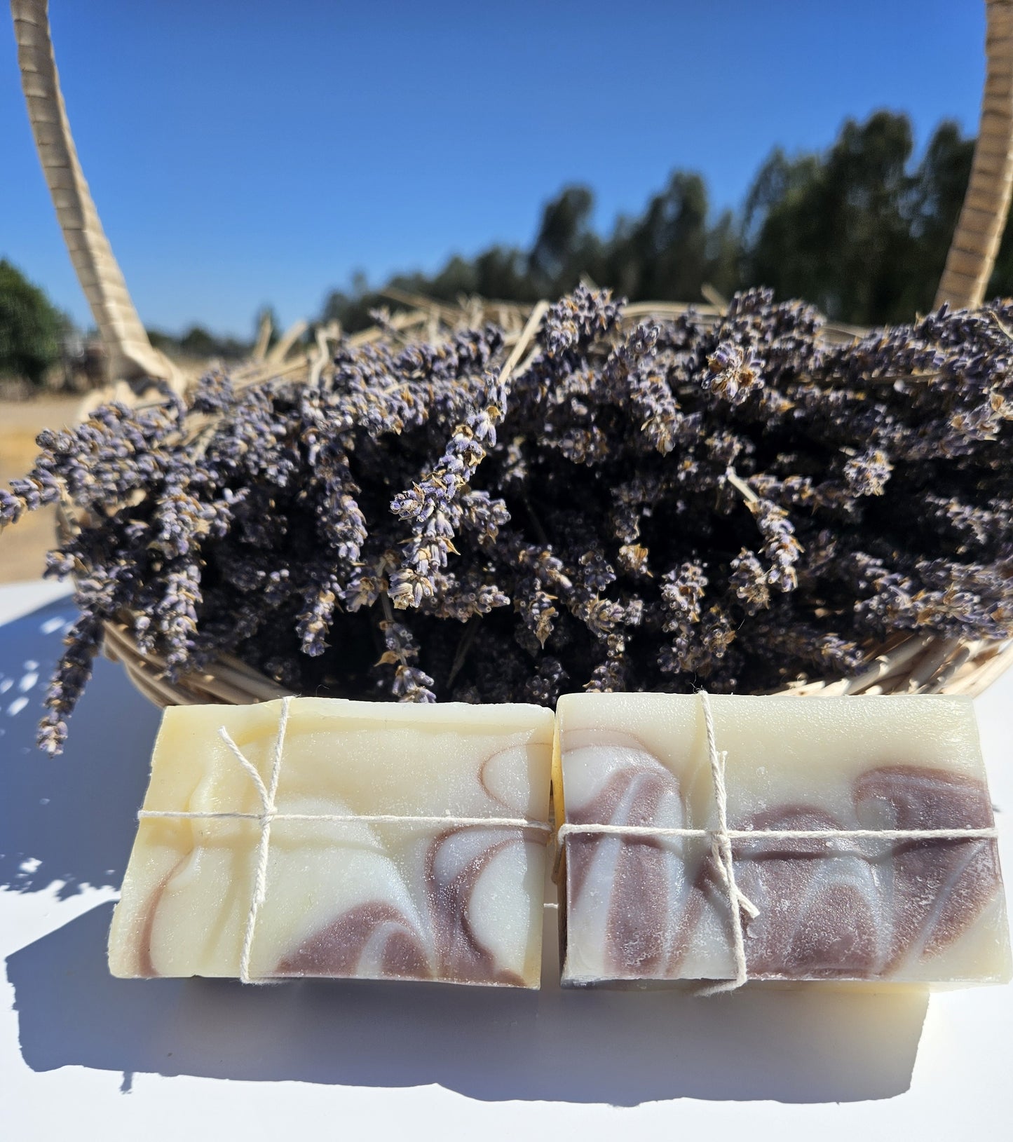 Lavender Shampoo Bar