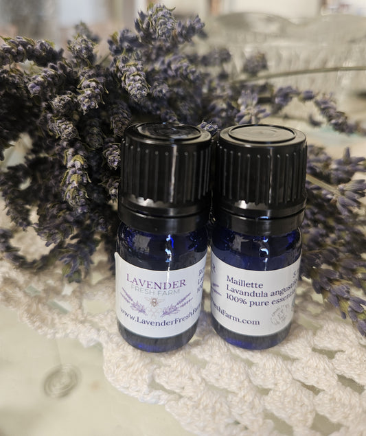 Essential Oil Angustifolia