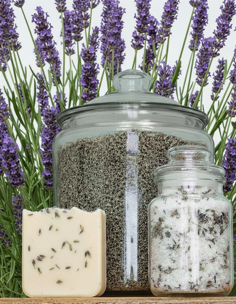 Bulk Craft Dried Lavender Buds