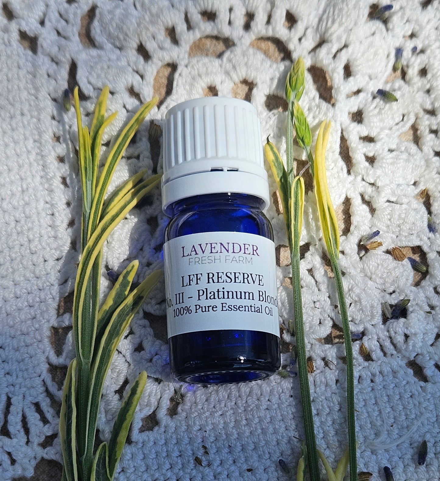 Essential Oil - LFF Reserve Collection