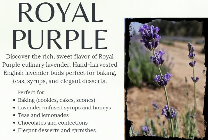 Culinary Lavender Buds